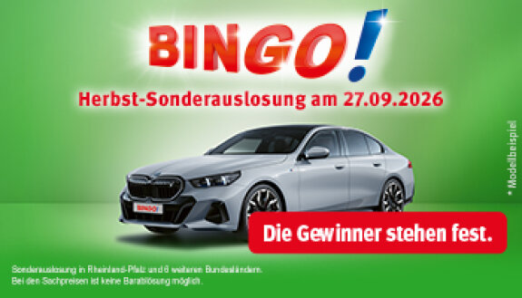 Bingo SAL Motiv, Auto und weitere Preise