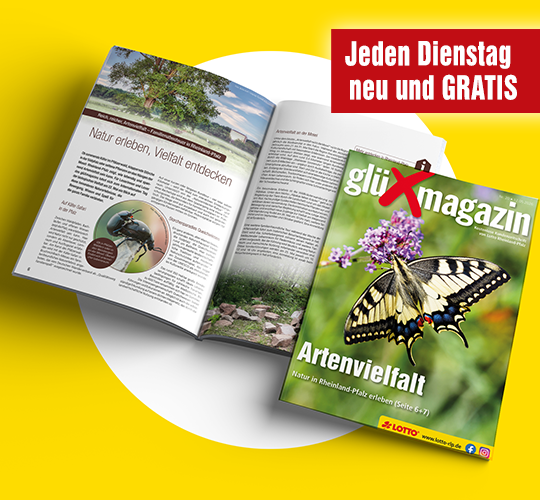 Titelseite Gl&uuml;cksmagazin